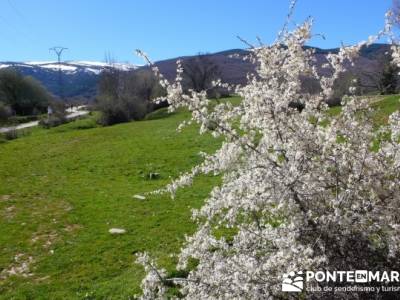 El Puerto del Reventón - San Ildefonso - Rascafria; viajes mayo senderismo; free trekking